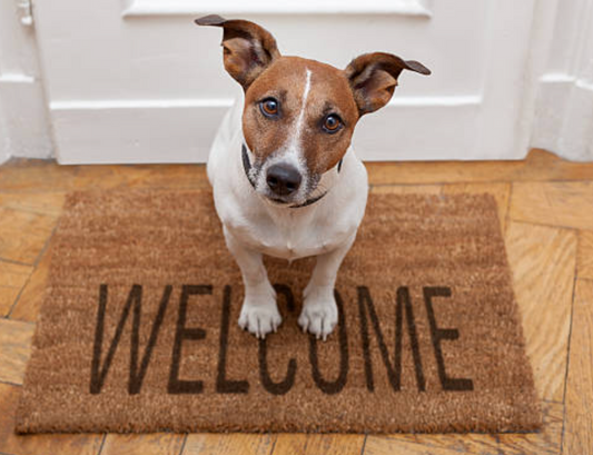 Welcome!