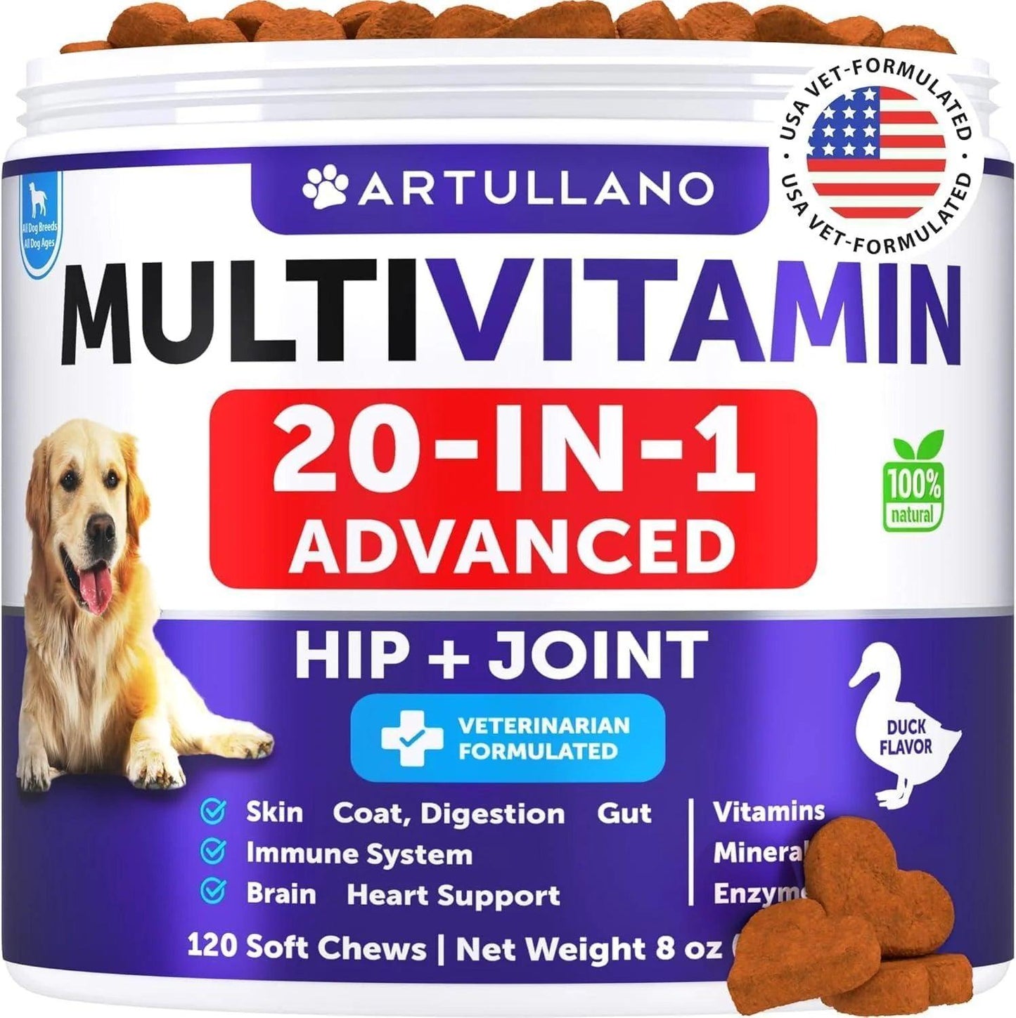 Container of DogHealthStore.com Comprehensive Dog Multivitamin Chewables with 120 soft chews, featuring glucosamine, probiotics, and omega-3 rich salmon oil for hip, joint, and overall health support.