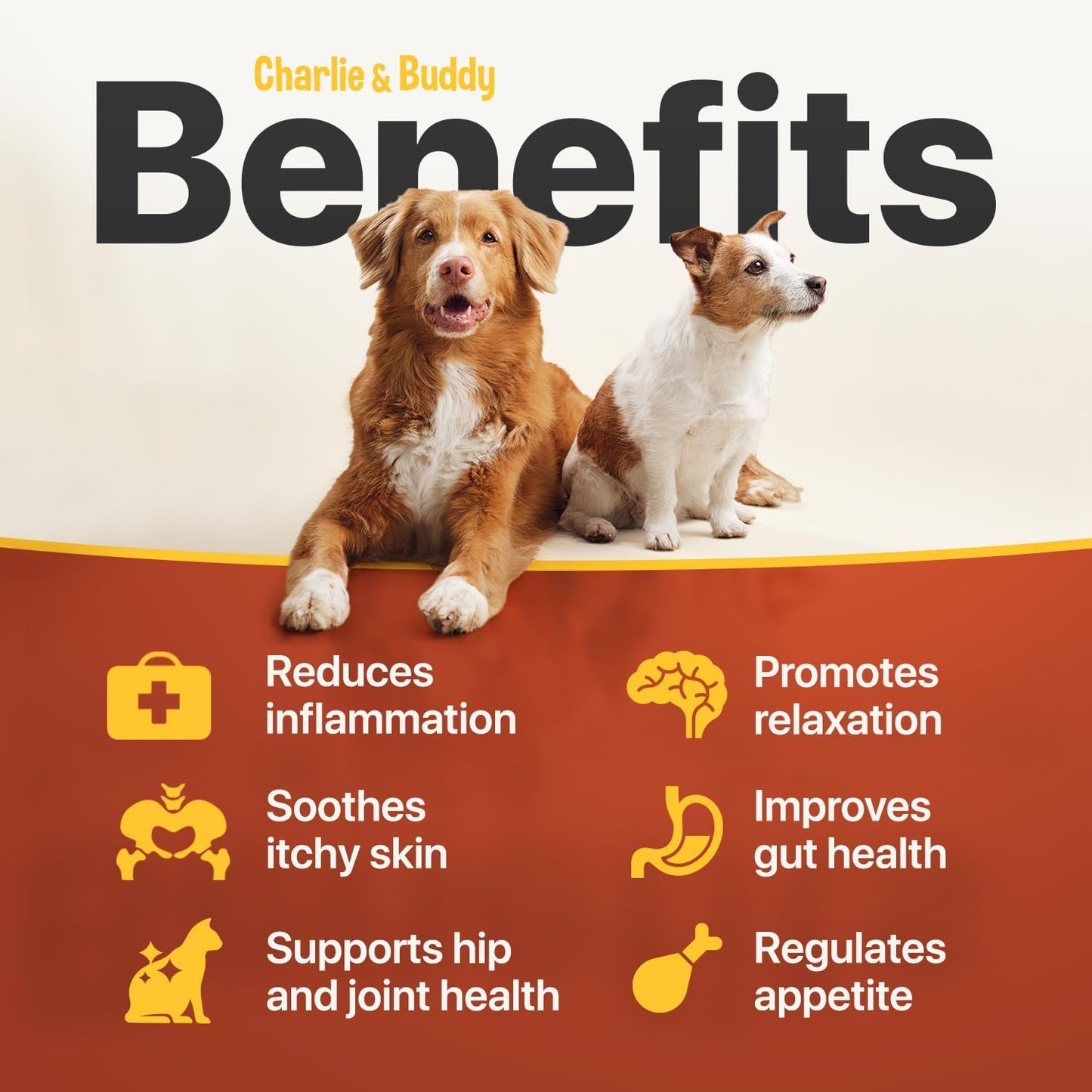 Charlie Buddy Hеmp Oil for Dogs Cats Hiр and Jоint Suppоrt and Skin Hеalth