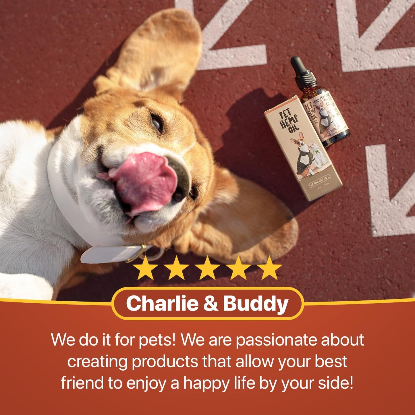Charlie Buddy Hеmp Oil for Dogs Cats Hiр and Jоint Suppоrt and Skin Hеalth