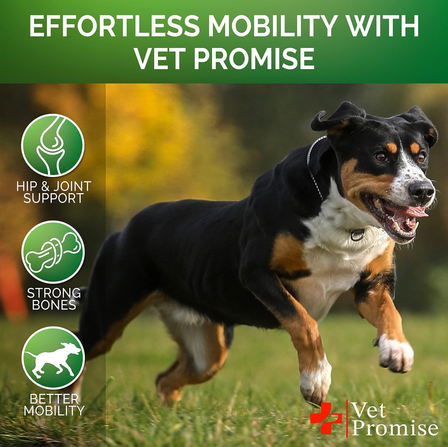 Hemp-Based Hip and Joint Support Supplement for Dogs with Glucosamine - 120 Chews