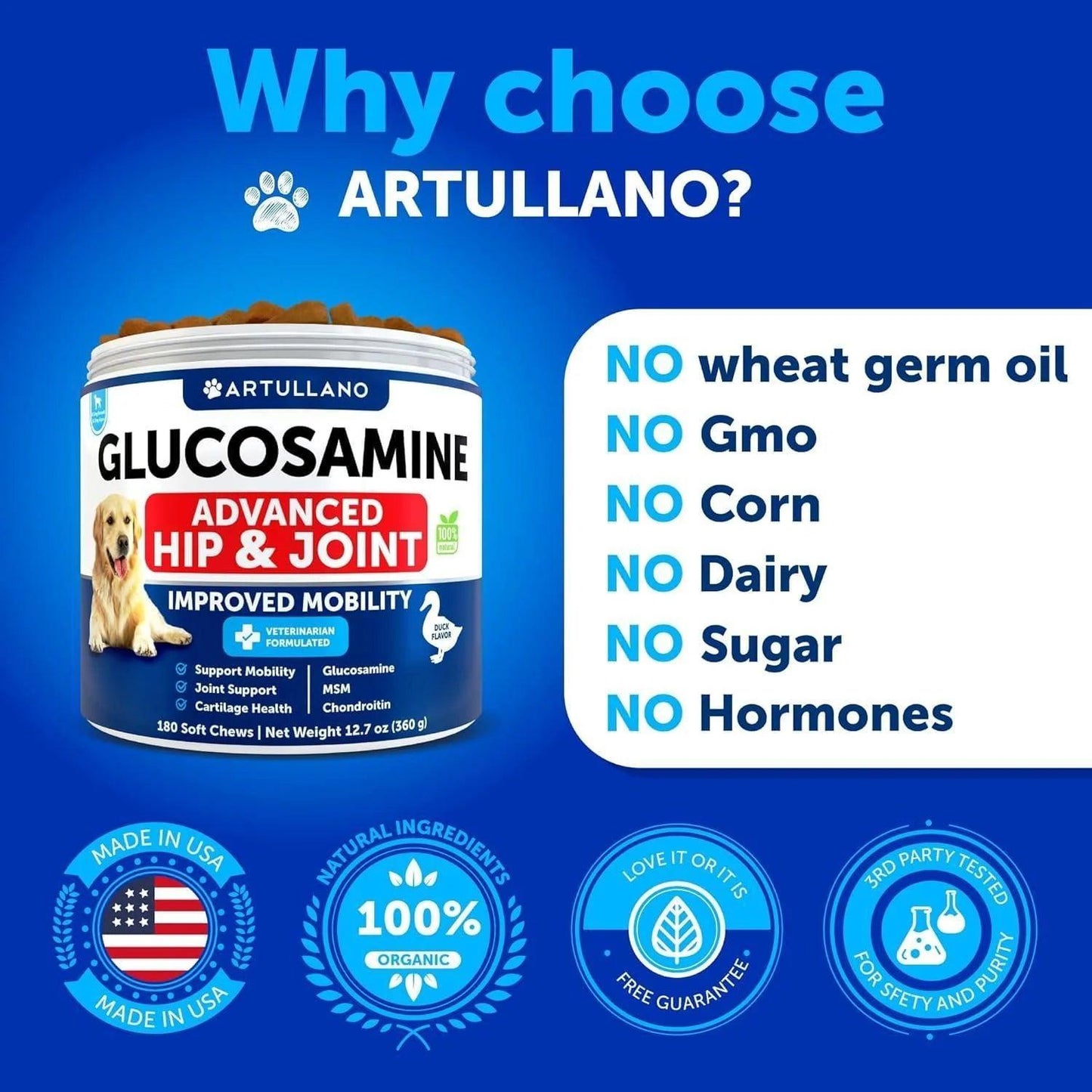 A container of DogHealthStore.com Glucosamine for Dogs Hip and Joint Supplement chews is shown, highlighting arthritis relief. The product contains no wheat germ oil, GMO, corn, dairy, sugar, or hormones, with certification icons visible.