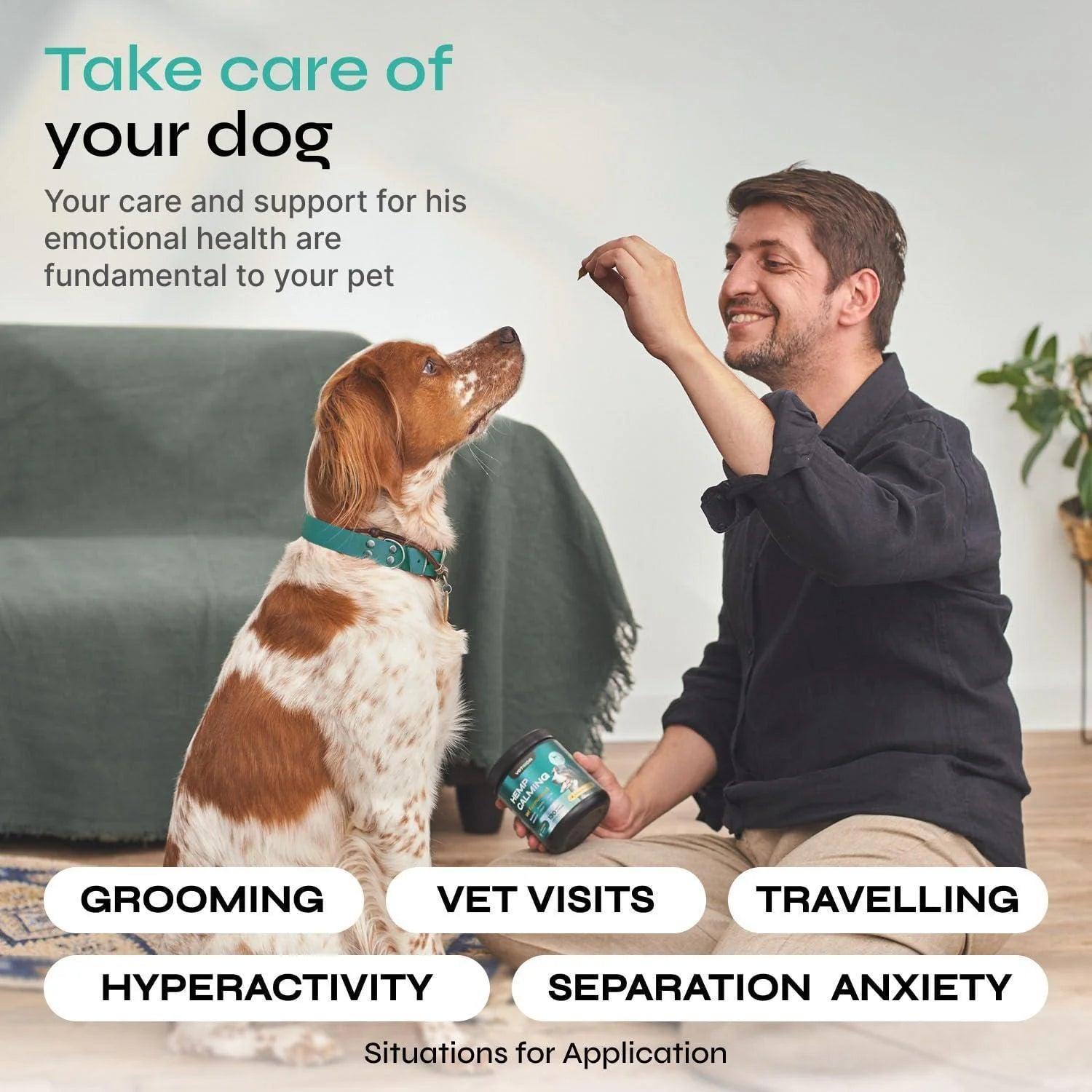Calming Chews for Dogs Anxiety Relief Hemp Calming Chews for Dogs With