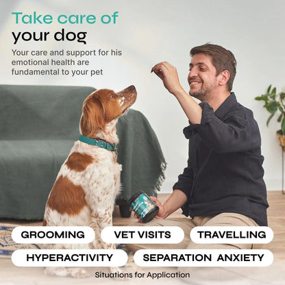 Calming Chews for Dogs Anxiety Relief Hemp Calming Chews for Dogs With