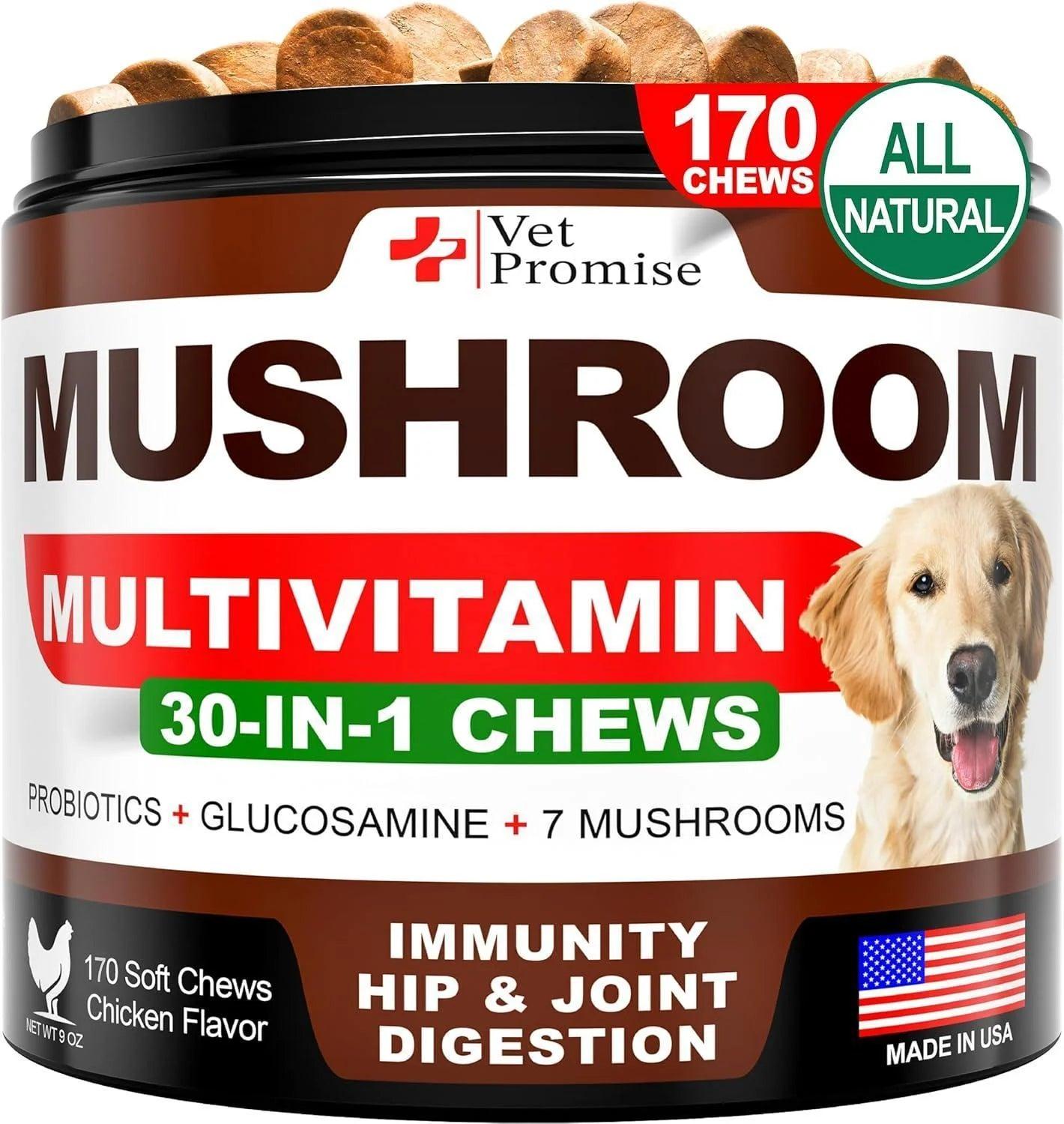 Mushroom for Dogs - 170 Chews - Turkey Tail - Mushroom Supplement for Dogs - Lions Mane - Reishi - Immunity Support Multivitamin Vitamins - Joint Health - Energy - Gut - Skin - Made in USA