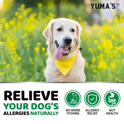 Dog Allergy Relief Chews - Dog Itching Skin Relief Treatment Pills - 170 Treats - Anti-Itch Chewables - Itchy and Paw Licking - Hot Spots - Omega 3 Fish Oil - Dry Skin & Coat Supplement