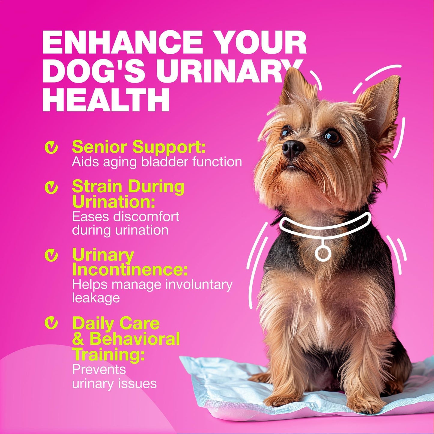 Cranberry Supplement for Canine Urinary Tract, Bladder, and Kidney Health
