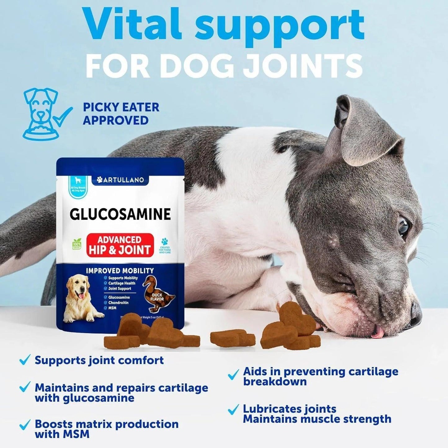 Glucosamine for Dogs Hip Joint Supplement for Dogs with Arthritis 70 Soft