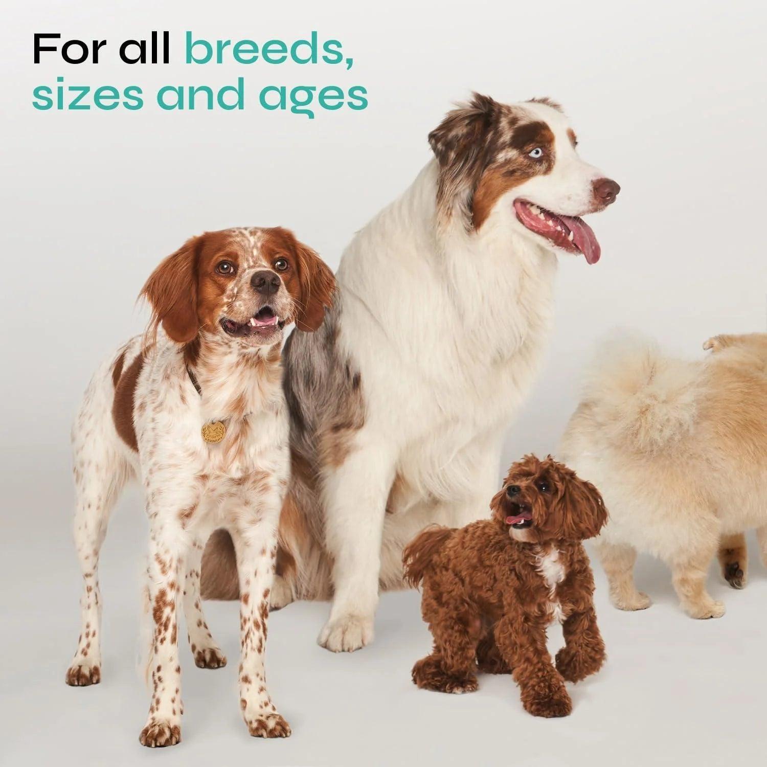 Calming Chews for Dogs Anxiety Relief Hemp Calming Chews for Dogs With