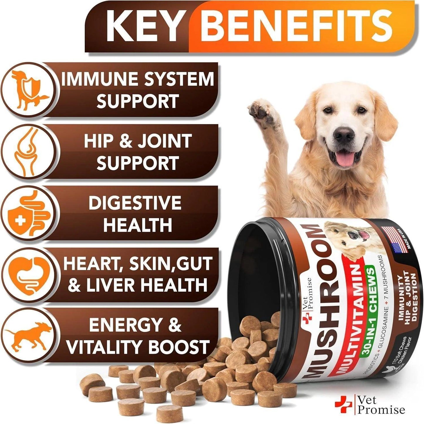 Mushroom for Dogs - 170 Chews - Turkey Tail - Mushroom Supplement for Dogs - Lions Mane - Reishi - Immunity Support Multivitamin Vitamins - Joint Health - Energy - Gut - Skin - Made in USA