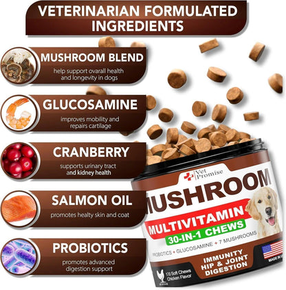 Mushroom for Dogs - 170 Chews - Turkey Tail - Mushroom Supplement for Dogs - Lions Mane - Reishi - Immunity Support Multivitamin Vitamins - Joint Health - Energy - Gut - Skin - Made in USA