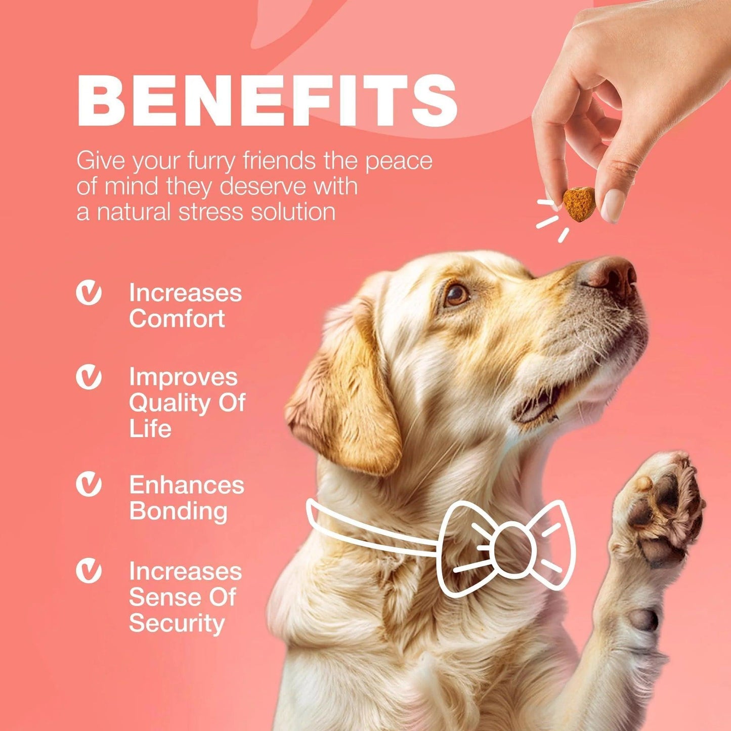 Dog Insects Treatment Chews Prevention for Dogs Natural Dog Insects Control