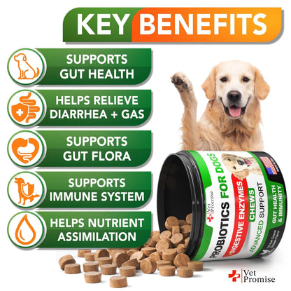 Probiotics for Dogs - Dog Probiotics and Digestive Enzymes for Gut Health, Itchy Skin, Allergies, Immunity, Yeast Balance - Prebiotics - Reduce Diarrhea, Gas - 120 Probiotic Chews Supplement for Dogs