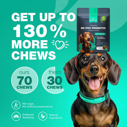 No Poo Chews for Dogs Dog Probiotics for Digestive Health