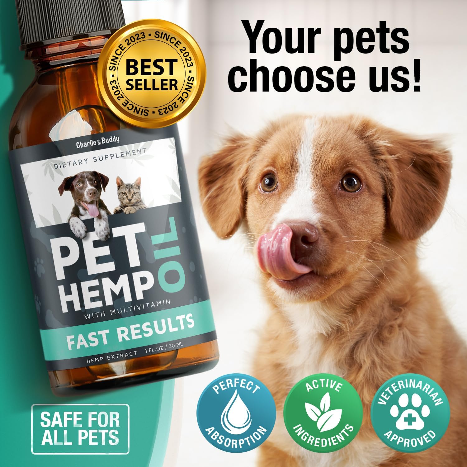 Hemp Oil for Dogs and Cats: Alleviating Anxiety, Pain, Stress, Sleep Issues, and Arthritis