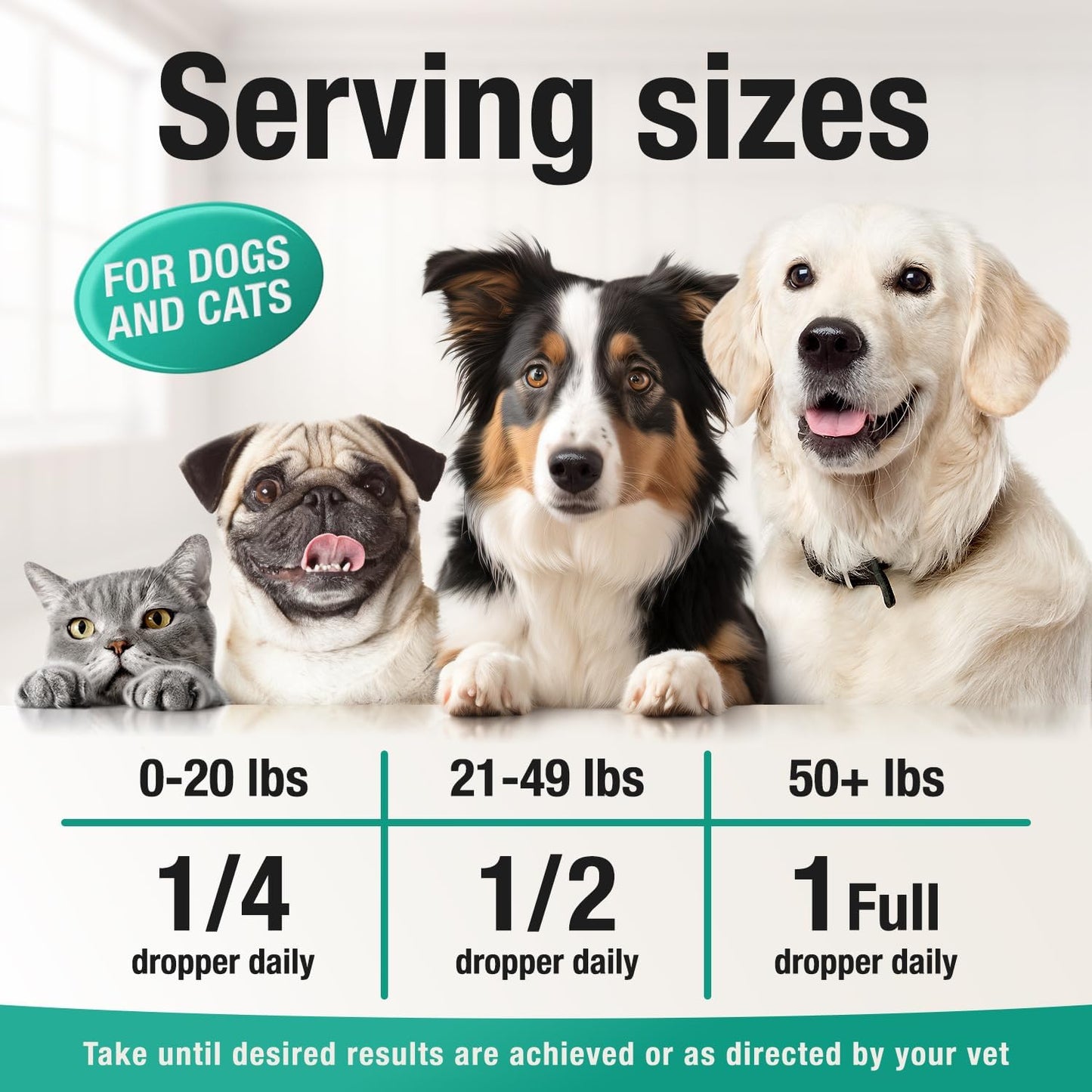 Hemp Oil for Dogs and Cats: Alleviating Anxiety, Pain, Stress, Sleep Issues, and Arthritis