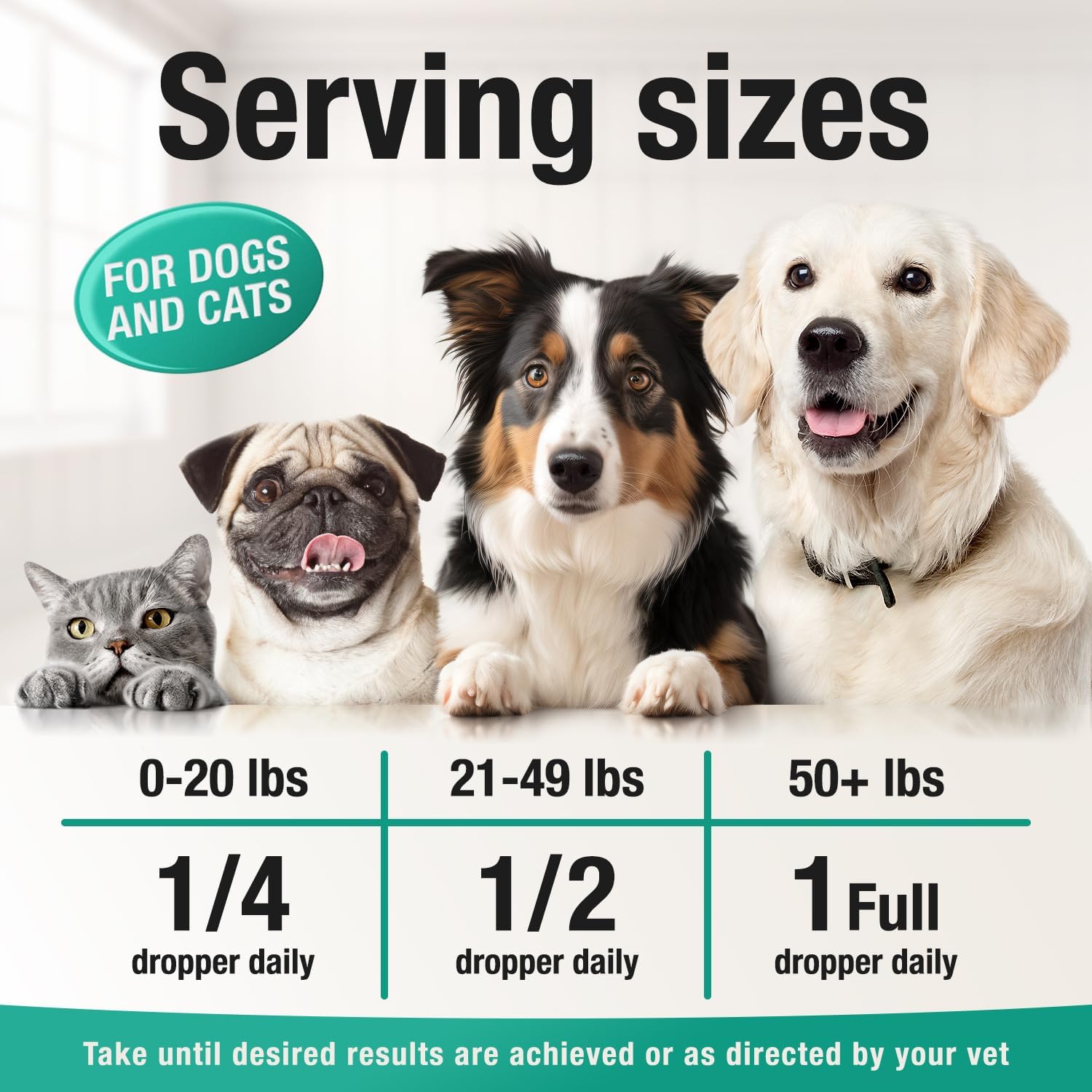 Hemp Oil for Dogs and Cats: Alleviating Anxiety, Pain, Stress, Sleep Issues, and Arthritis