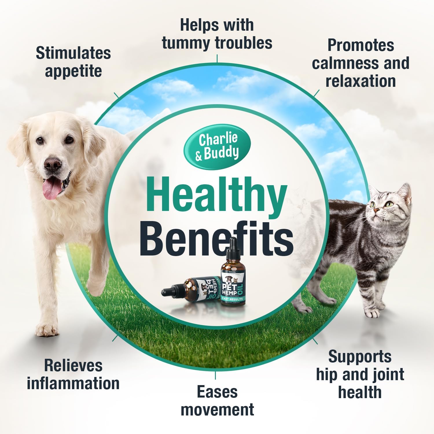Hemp Oil for Dogs and Cats: Alleviating Anxiety, Pain, Stress, Sleep Issues, and Arthritis
