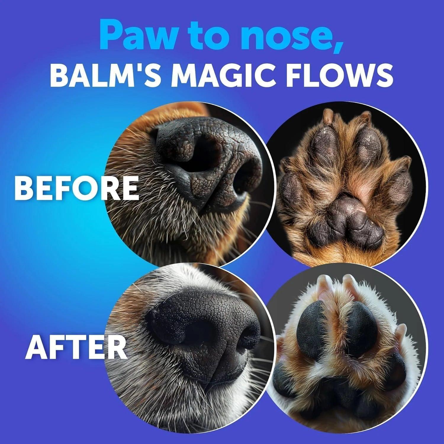 Dog Paw Balm Lick Safe Snout Soother Moisturizies Soothes Nourishes Irritated