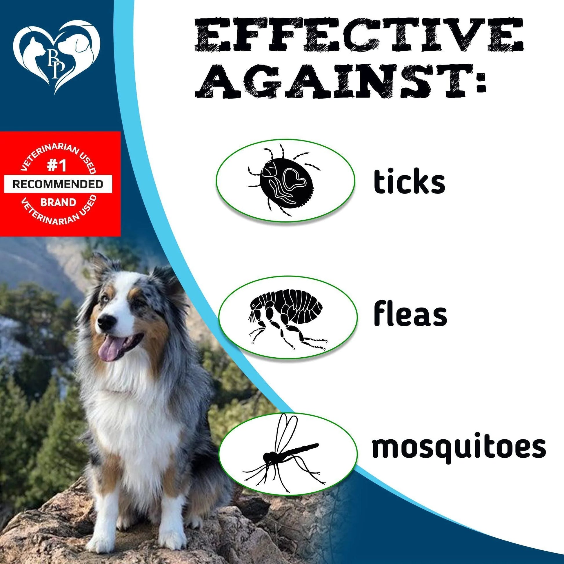 An Australian Shepherd sits on a rock beside text saying Effective Against: ticks, fleas, mosquitoes with insect icons. A red badge shows “#1 Veterinarian Used.” Beloved Pets Insects Prevention Chewable Pills feature an advanced USA vet formula.
