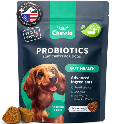 A teal Chewia bag of Probiotics for Dogs Support Gut Health Immunity Yeast Balance Itchy Skin shows a dog, highlights digestive support benefits, and displays two chews in front.