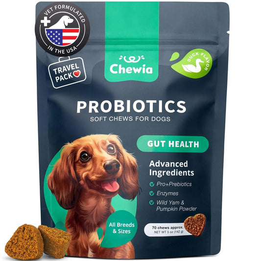 A teal Chewia bag of Probiotics for Dogs Support Gut Health Immunity Yeast Balance Itchy Skin shows a dog, highlights digestive support benefits, and displays two chews in front.