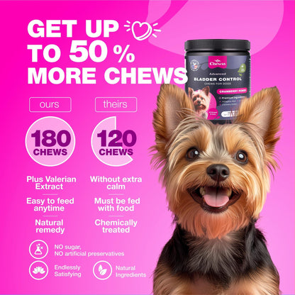 Cranberry Supplement for Canine Urinary Tract, Bladder, and Kidney Health