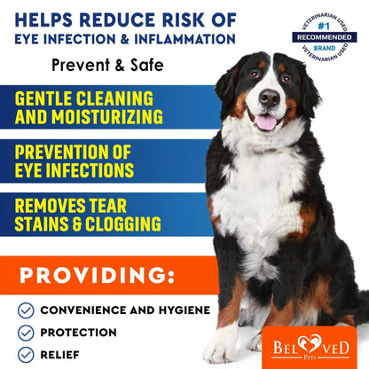 A large tri-colored dog sits beside text promoting DogHealthStore.coms Cat Dog Eye Wash Wipes Tear Stain Remover Cleaner, highlighting gentle cleaning, infection treatment, and tear stain removal in a 120-pad pack.