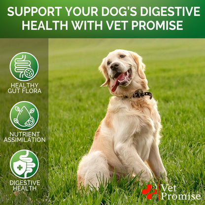 Probiotics for Dogs - Dog Probiotics and Digestive Enzymes for Gut Health, Itchy Skin, Allergies, Immunity, Yeast Balance - Prebiotics - Reduce Diarrhea, Gas - 120 Probiotic Chews Supplement for Dogs