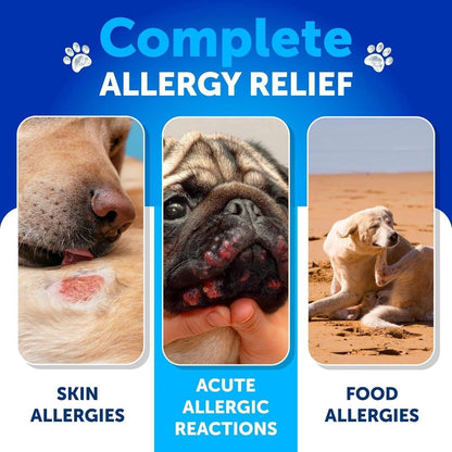 Probiotics for Dogs Support Gut Health Itchy Skin Allergies Immunity Yeast