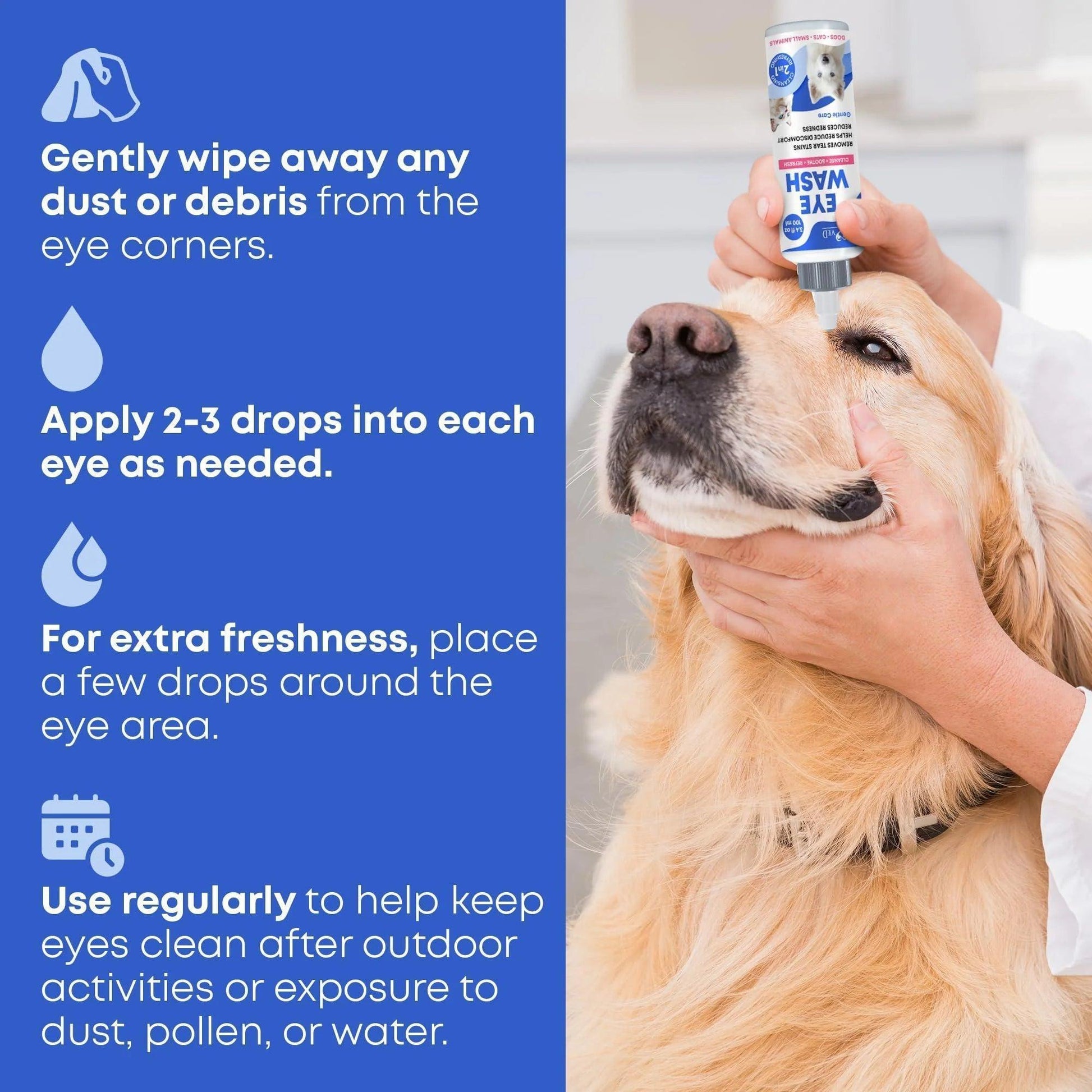 A person uses DogHealthStore.coms Cat Dog Eye Wash Drops Tear Stain Remover Cleaner Eye Infection Treatment on a golden retriever, following instructions to wipe debris, apply drops, and use regularly for clean, healthy eyes.