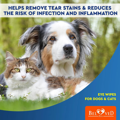 A long-haired dog and a cat lay together on grass. Text reads: Helps remove tear stains & reduces risk of infection. Bottom right: Cat Dog Eye Wash Wipes 120 Pads – DogHealthStore.com.