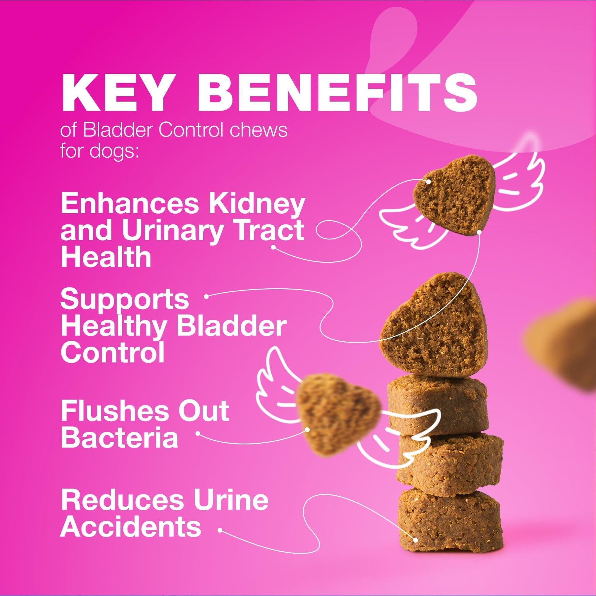 Cranberry Supplement for Canine Urinary Tract, Bladder, and Kidney Health